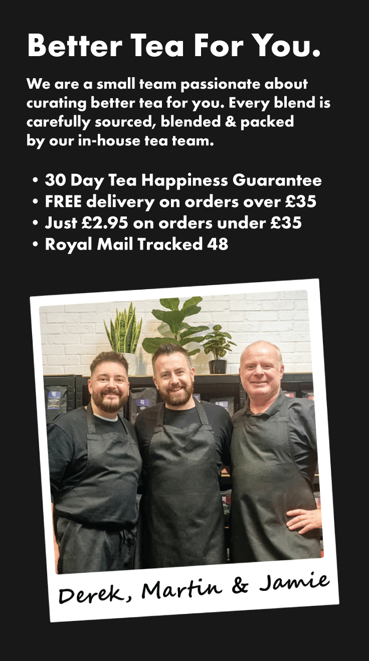 Meet The Team
