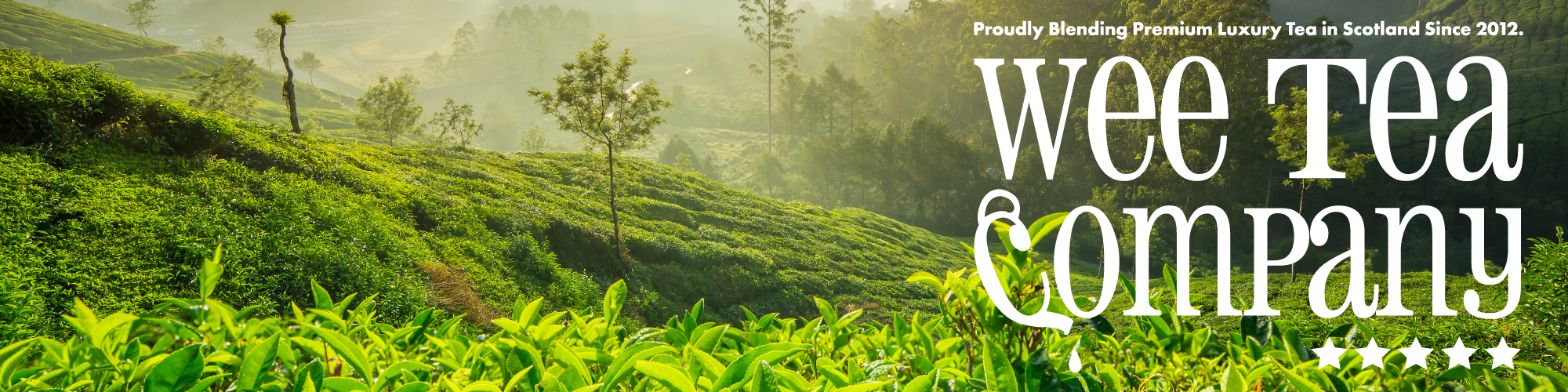 Welcome to the Wee Tea Company